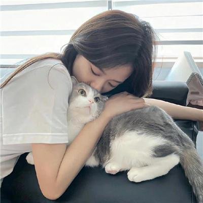 被怀疑：兔子和刺猬